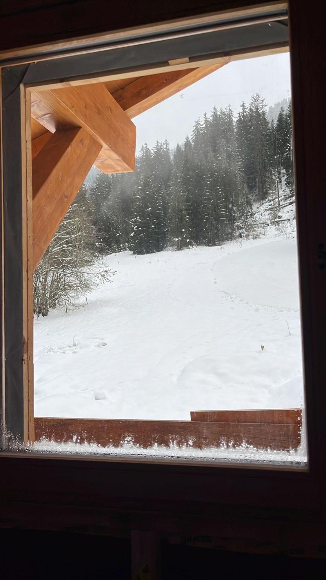 La Rose Des Neiges A Châtel Dış mekan fotoğraf