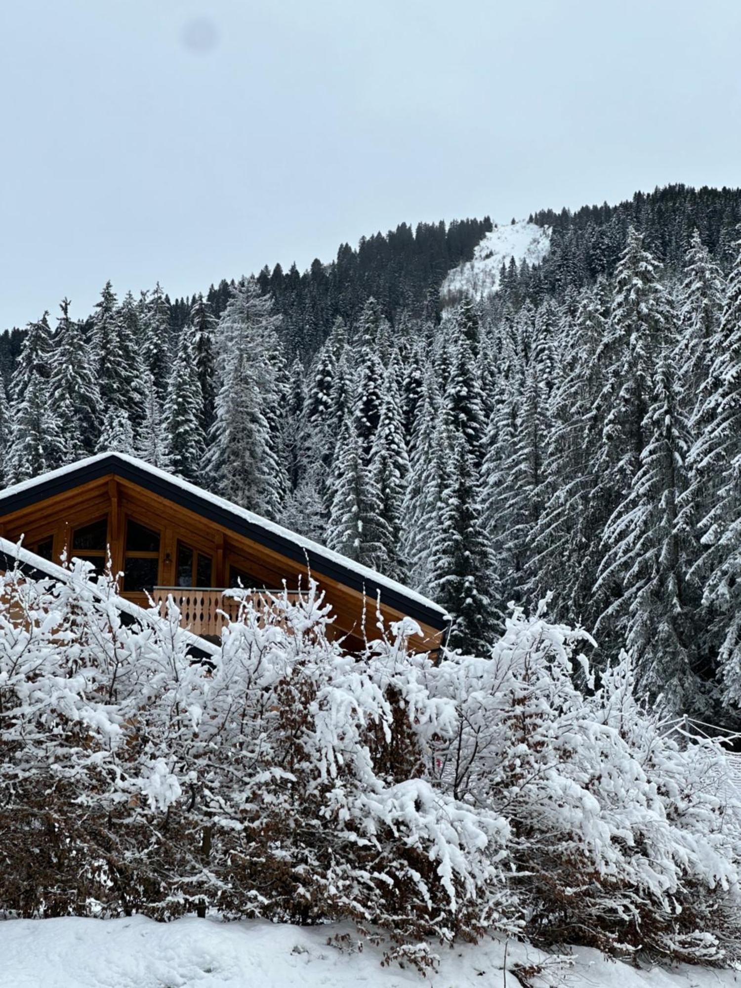 La Rose Des Neiges A Châtel Dış mekan fotoğraf